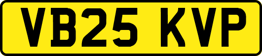 VB25KVP