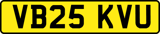 VB25KVU