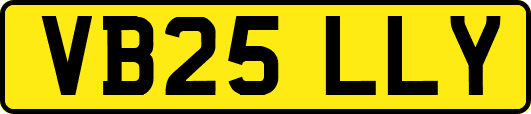 VB25LLY