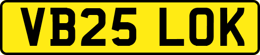 VB25LOK