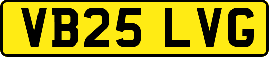 VB25LVG