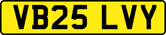 VB25LVY