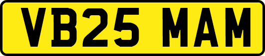 VB25MAM