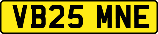 VB25MNE
