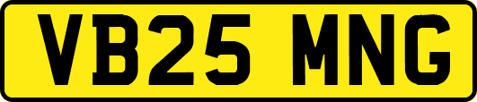 VB25MNG