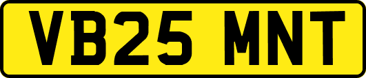 VB25MNT