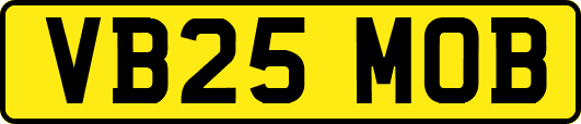 VB25MOB