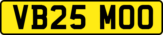 VB25MOO