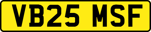 VB25MSF