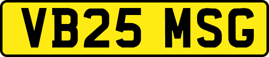 VB25MSG