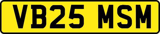 VB25MSM