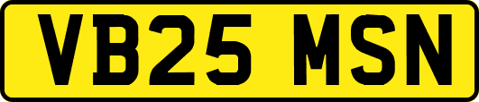 VB25MSN