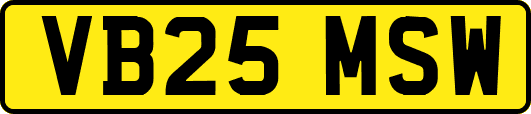 VB25MSW