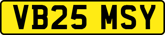 VB25MSY