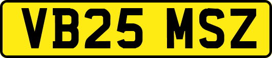 VB25MSZ