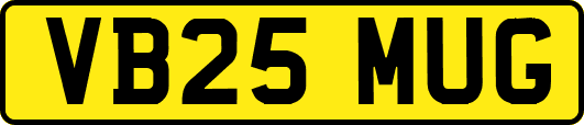 VB25MUG