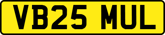 VB25MUL