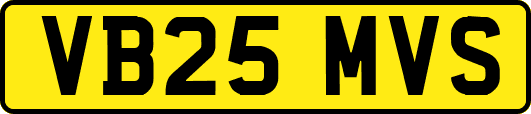 VB25MVS