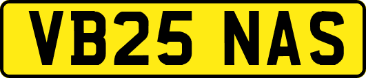 VB25NAS