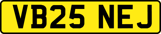 VB25NEJ