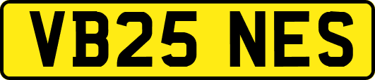 VB25NES
