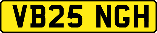 VB25NGH
