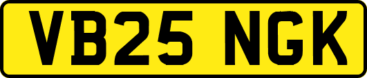 VB25NGK
