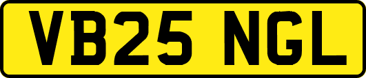 VB25NGL