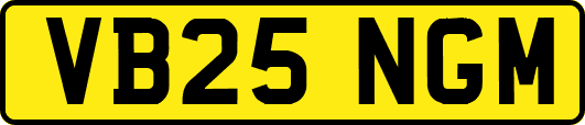 VB25NGM