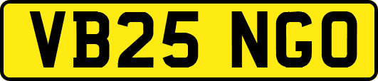 VB25NGO