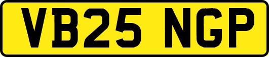 VB25NGP