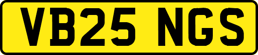 VB25NGS