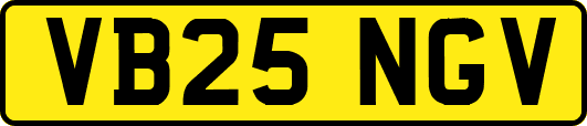 VB25NGV