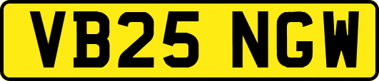 VB25NGW