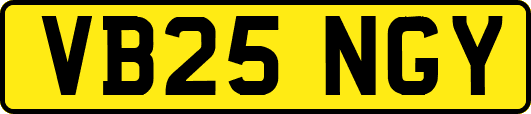 VB25NGY