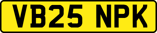 VB25NPK