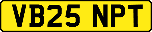 VB25NPT