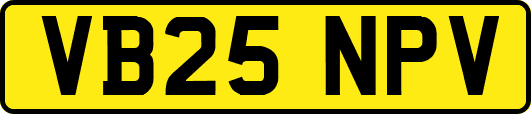 VB25NPV