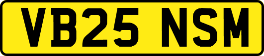 VB25NSM