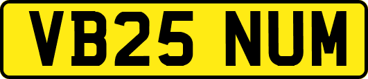VB25NUM