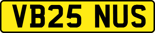 VB25NUS
