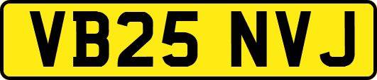 VB25NVJ
