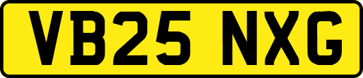 VB25NXG