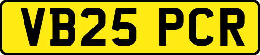 VB25PCR