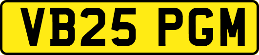 VB25PGM