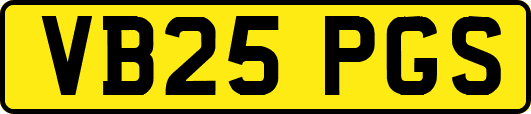 VB25PGS