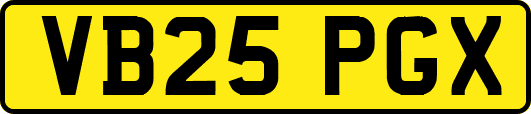 VB25PGX