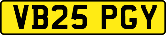 VB25PGY