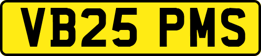 VB25PMS