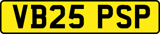 VB25PSP